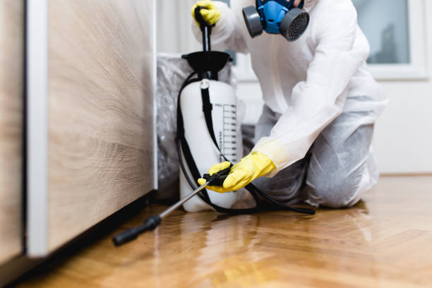 Best Pest Removal Services  in Johnson, AR