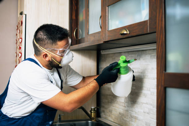 Best Best Pest Control Companies  in Johnson, AR