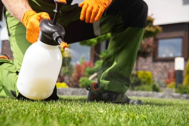 Best Cockroach Control Services  in Johnson, AR