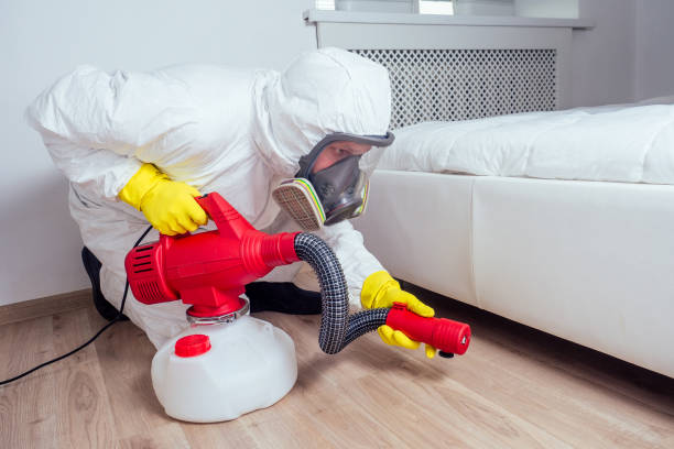 Best Insect Control  in Johnson, AR