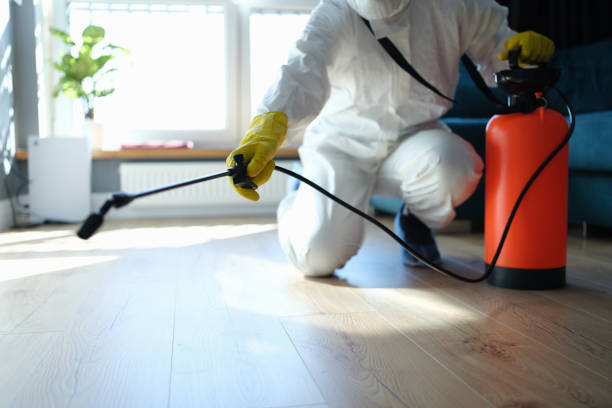 Best Emergency Pest Control  in Johnson, AR