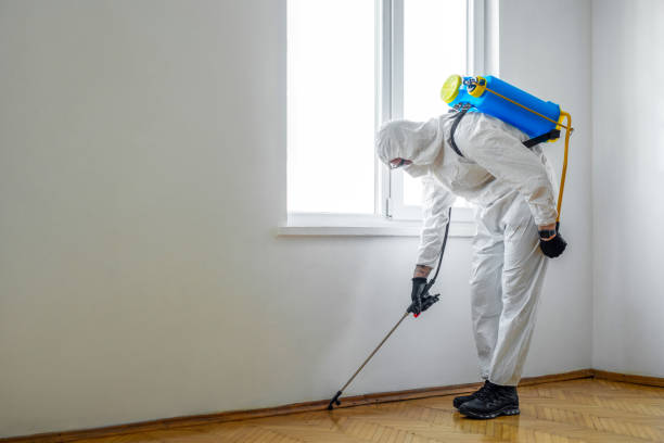 Best Termite Control Services  in Johnson, AR