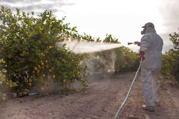 Best Pest Control for Businesses  in Johnson, AR
