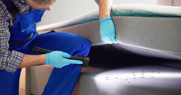 Best Pest Control Cost  in Johnson, AR