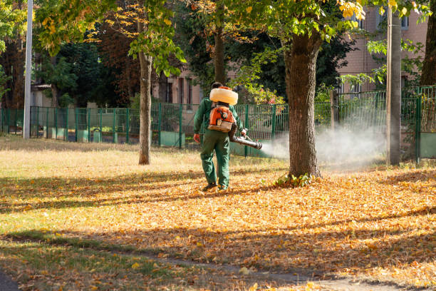 Best Wasp Removal Services  in Johnson, AR
