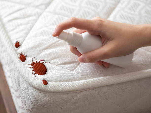 Best Commercial Pest Control Services  in Johnson, AR