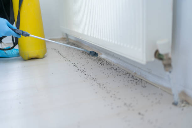 Best Pest Prevention Services  in Johnson, AR