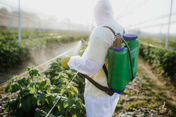 Best Flea Control Services  in Johnson, AR